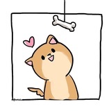 路人