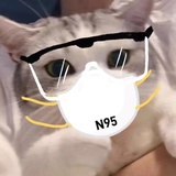 灿灿