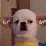 哆啦A梦