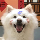 桃桃🍑