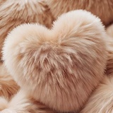 不爱酸的柠檬精