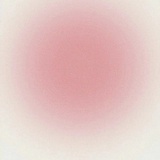 Rotten___Apple