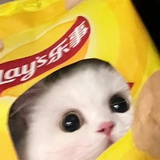 酸奶奥利奥