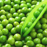 豆子