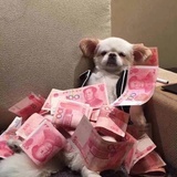 瑶瑶瑶啊哈