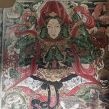 Aricha