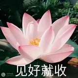 代煎