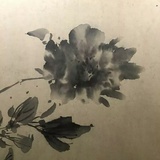 陆西州