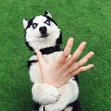 www