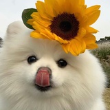 ......