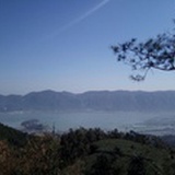 大马哈鱼