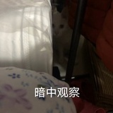 鬼火少女绿鲤鱼