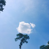 大福的豆瓣儿