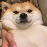 www