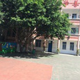 飞跑