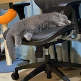 xixixi