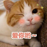 温别来无恙