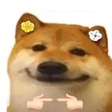 嘻嘻啊偶