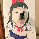 克莱因蓝