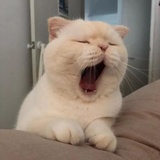 我是你刘姐