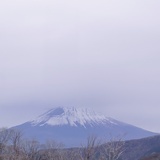肥仔(减肥中)