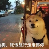 已注销