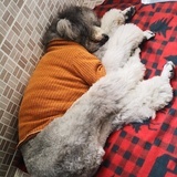 她