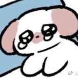 梁佳