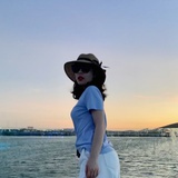 刺猬小姐