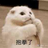 吃瓜群众