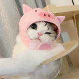 你看得见我