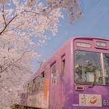 Kojika刘小佳