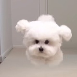冬季三点半