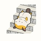 凉雨知秋否