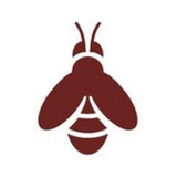 玛丽世家