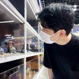 白水