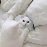 不知道叫啥好