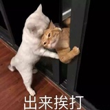 腾格尔