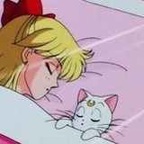 一只猫