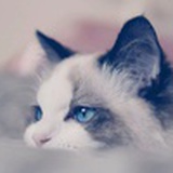 May_choco