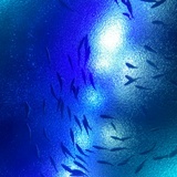水族馆游记