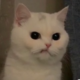 xyoung