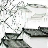惹雨芭蕉