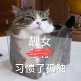 猪猪