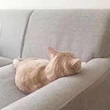 梳子