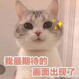西瓜片片儿