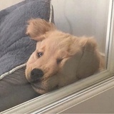 许宁