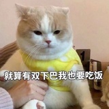 木木
