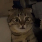 cjskjdnjxjx