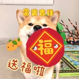 阿泽